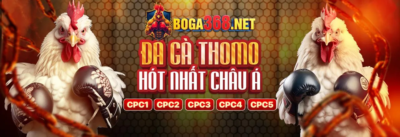 Giới thiệu 3king app