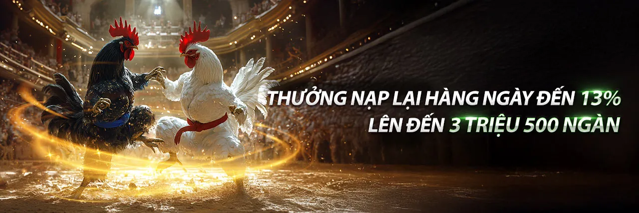 Tổng quan nền tảng 3king app